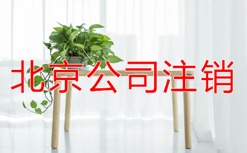 北京小規(guī)模納稅人企業(yè)注銷